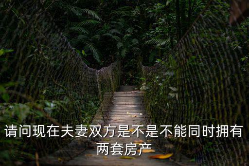 請(qǐng)問(wèn)現(xiàn)在夫妻雙方是不是不能同時(shí)擁有兩套房產(chǎn)
