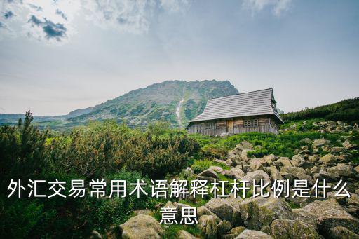 外匯交易常用術語解釋杠桿比例是什么意思