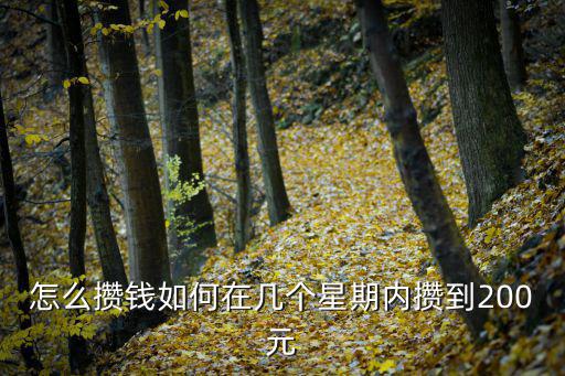 怎么攢錢如何在幾個星期內(nèi)攢到200元