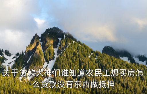 關(guān)于貸款大神們誰知道農(nóng)民工想買房怎么貸款沒有東西做抵押