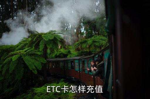 ETC卡怎樣充值
