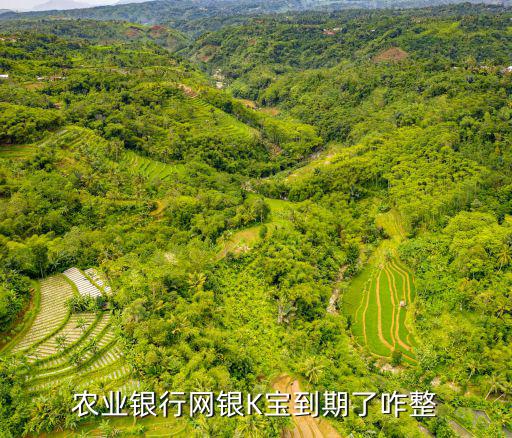 農(nóng)業(yè)k令過(guò)期了怎么辦，農(nóng)業(yè)銀行網(wǎng)銀K寶到期了咋整