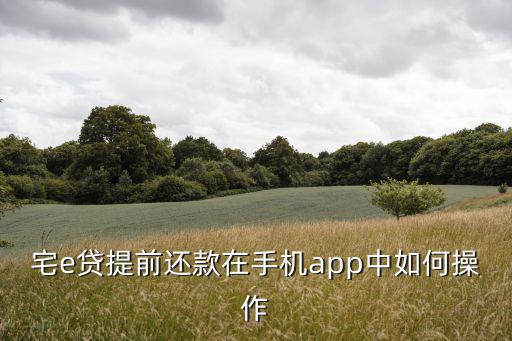平安宅e貸怎么提前還款，宅e貸提前還款在手機app中如何操作