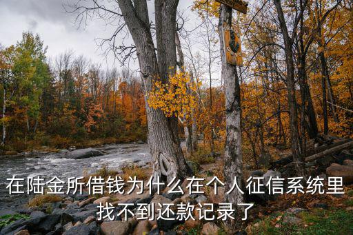 陸金所怎么手動還款，在陸金所借錢為什么在個人征信系統(tǒng)里找不到還款記錄了