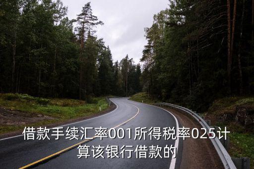 借款手續(xù)匯率001所得稅率025計算該銀行借款的