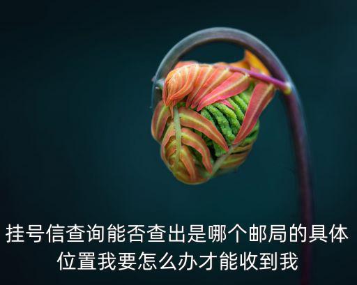 掛號(hào)信查詢能否查出是哪個(gè)郵局的具體位置我要怎么辦才能收到我
