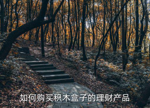 積木盒子怎么注冊(cè)，如何購(gòu)買(mǎi)積木盒子的理財(cái)產(chǎn)品