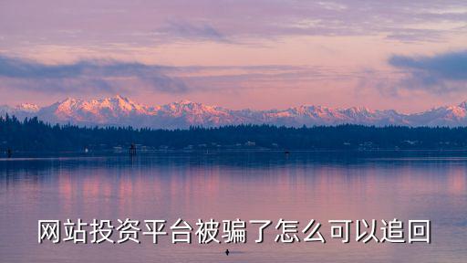網(wǎng)站投資平臺(tái)被騙了怎么可以追回