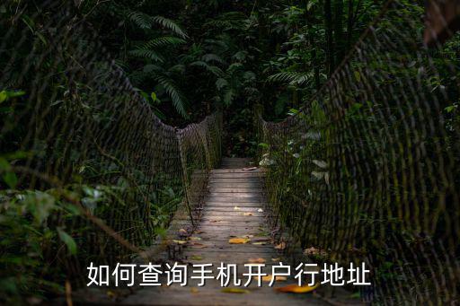 如何查詢手機(jī)開戶行地址