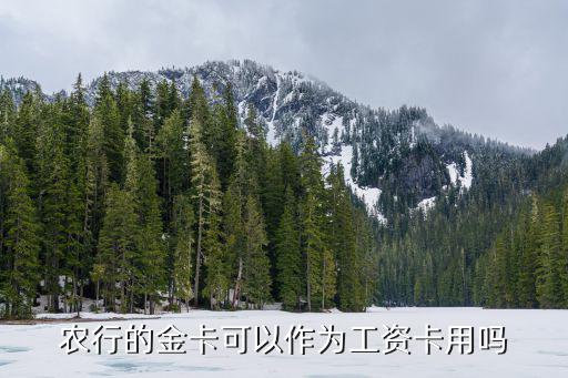 工資卡用農(nóng)行的怎么樣的，部分事業(yè)單位的工資卡為什么要用農(nóng)行的
