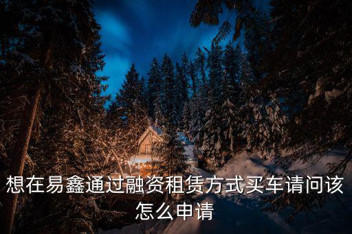 想在易鑫通過融資租賃方式買車請問該怎么申請
