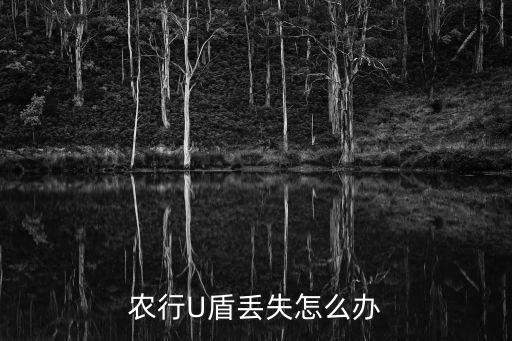 農(nóng)行U盾丟失怎么辦