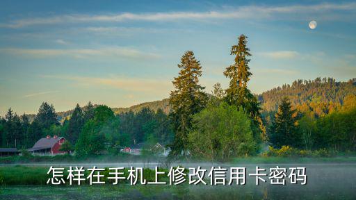 如何更改信用卡密碼怎么辦理，信用卡密碼可以在網(wǎng)上更改么