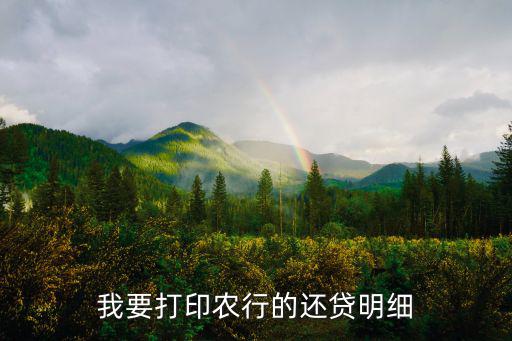我要打印農(nóng)行的還貸明細(xì)