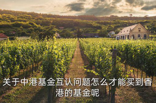 怎么買香港的基金公司名稱，關(guān)于中港基金互認問題怎么才能買到香港的基金呢