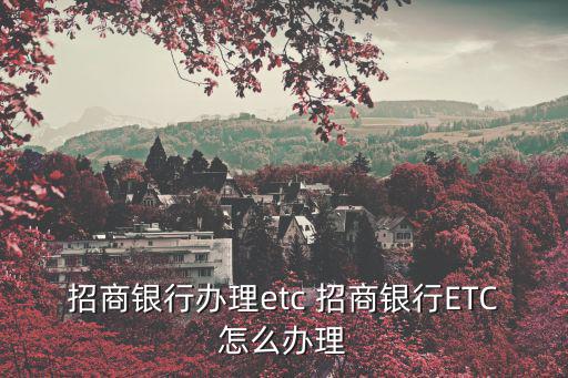 招商銀行辦理etc 招商銀行ETC怎么辦理