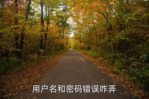 用戶名和密碼錯誤咋弄