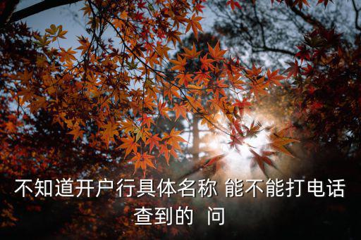 不知道開戶行具體名稱 能不能打電話查到的  問