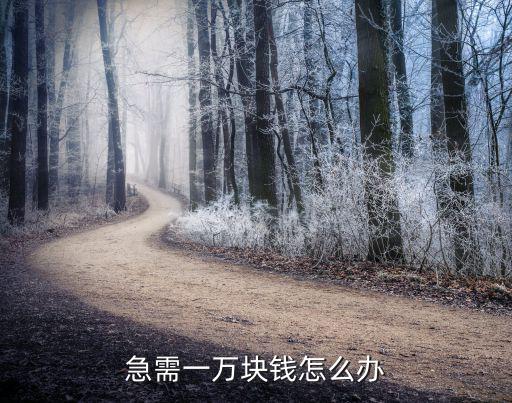 急需一萬塊錢怎么辦