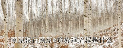 南京銀行南京e貸辦理流程是什么