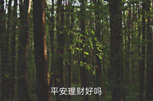 平安理財(cái)好嗎