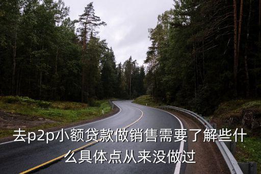 去p2p小額貸款做銷售需要了解些什么具體點(diǎn)從來沒做過