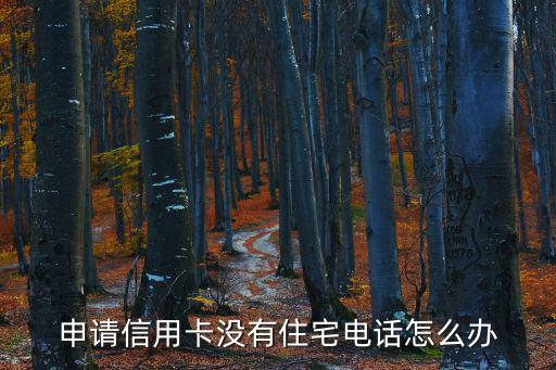 申請(qǐng)信用卡沒(méi)有住宅電話怎么辦