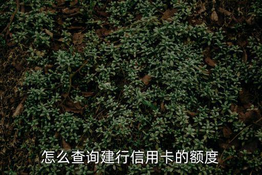怎么查詢建行信用卡的額度