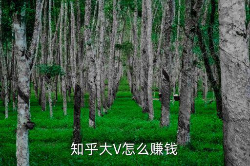 知乎大V怎么賺錢