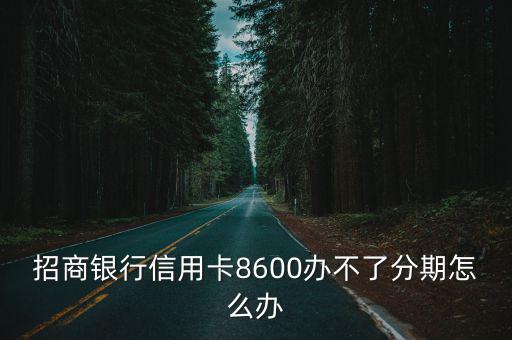 招商銀行信用卡8600辦不了分期怎么辦