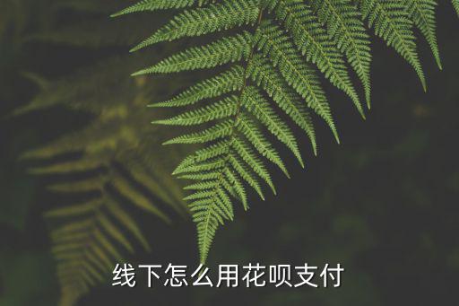 怎么可以用花唄，淘寶怎么看可以用花唄