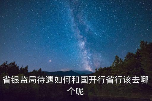 省銀監(jiān)局待遇如何和國開行省行該去哪個呢