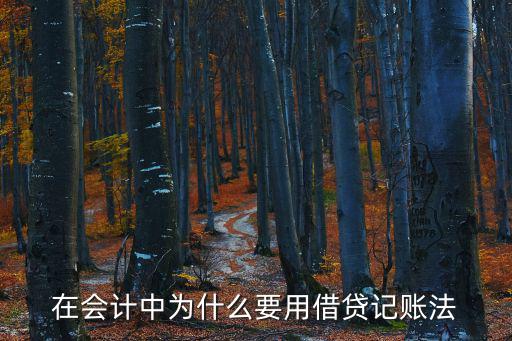 借貸記賬法是怎么回事，會計借貸記賬法的基本原理