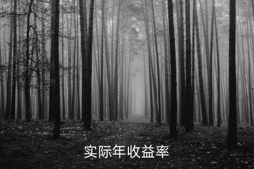 實(shí)際年收益率