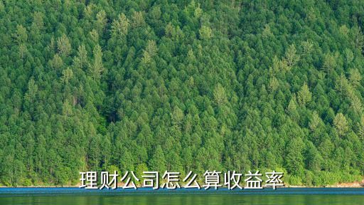 理財(cái)公司怎么算收益率