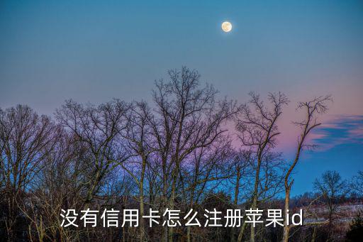 蘋果id怎么添加信用卡嗎，美區(qū)Apple ID 能綁定國內(nèi)信用卡或儲蓄卡嗎