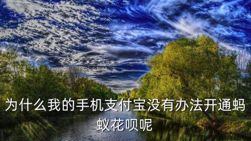 螞蟻花唄怎么手機(jī)開通不了，開通不了花唄怎么辦