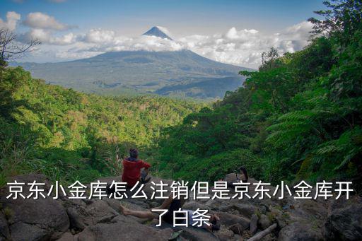 京東小金庫怎么注銷但是京東小金庫開了白條
