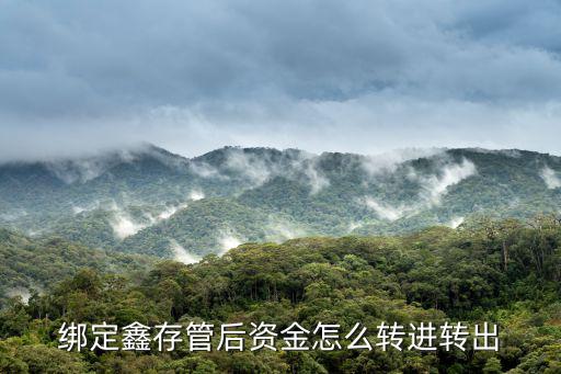 綁定鑫存管后資金怎么轉(zhuǎn)進(jìn)轉(zhuǎn)出