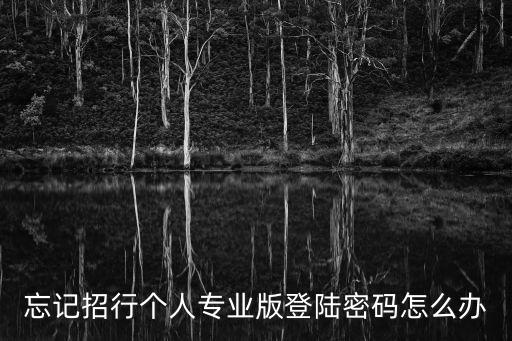 忘記招行個(gè)人專業(yè)版登陸密碼怎么辦