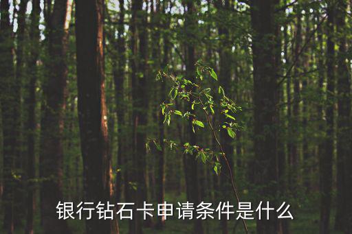 銀行鉆石卡申請(qǐng)條件是什么
