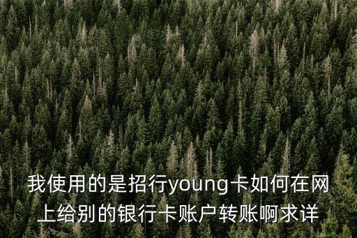 我使用的是招行young卡如何在網(wǎng)上給別的銀行卡賬戶(hù)轉(zhuǎn)賬啊求詳