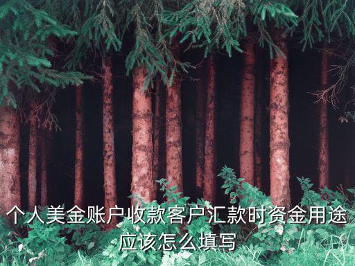 款項用途怎么填，個人美金賬戶收款客戶匯款時資金用途應該怎么填寫