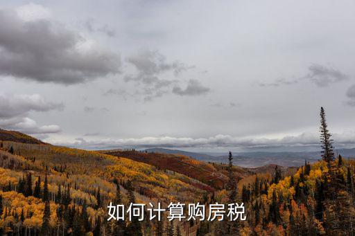 如何計算購房稅