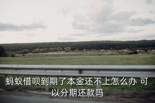 螞蟻借唄到期了本金還不上怎么辦 可以分期還款嗎