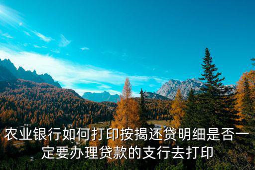 農(nóng)行還款明細(xì)怎么打，中國農(nóng)業(yè)銀行企業(yè)網(wǎng)上銀行怎么打印交易明細(xì)