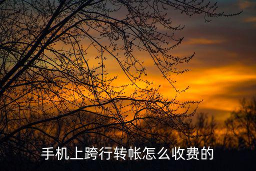手機(jī)上跨行轉(zhuǎn)帳怎么收費(fèi)的
