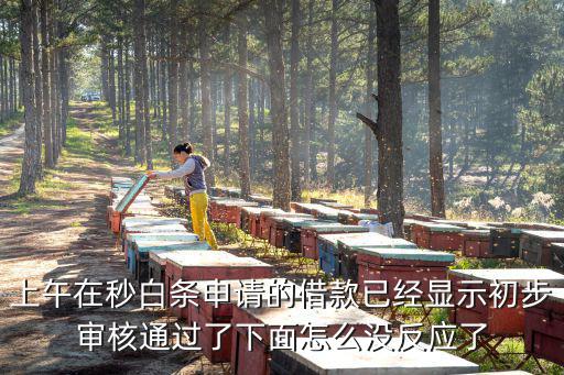 秒白條卡在初審怎么辦，誰知道秒白條臨時(shí)置零了額度恢復(fù)了申請初審?fù)ㄟ^一天后還是初審