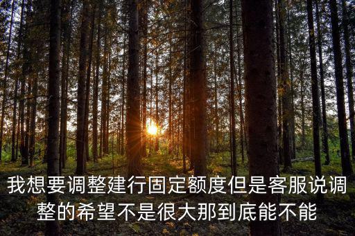 我想要調(diào)整建行固定額度但是客服說調(diào)整的希望不是很大那到底能不能