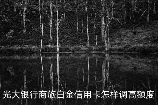 光大商旅金卡怎么提額，光大銀行商旅白金信用卡怎樣調(diào)高額度